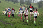 Girls under-15s, NECAA Junior Cross Country Relays, Thornley Farm, Peterlee, Saturday, December 12th. Photo: David T. Hewitson/Sports for All Pics